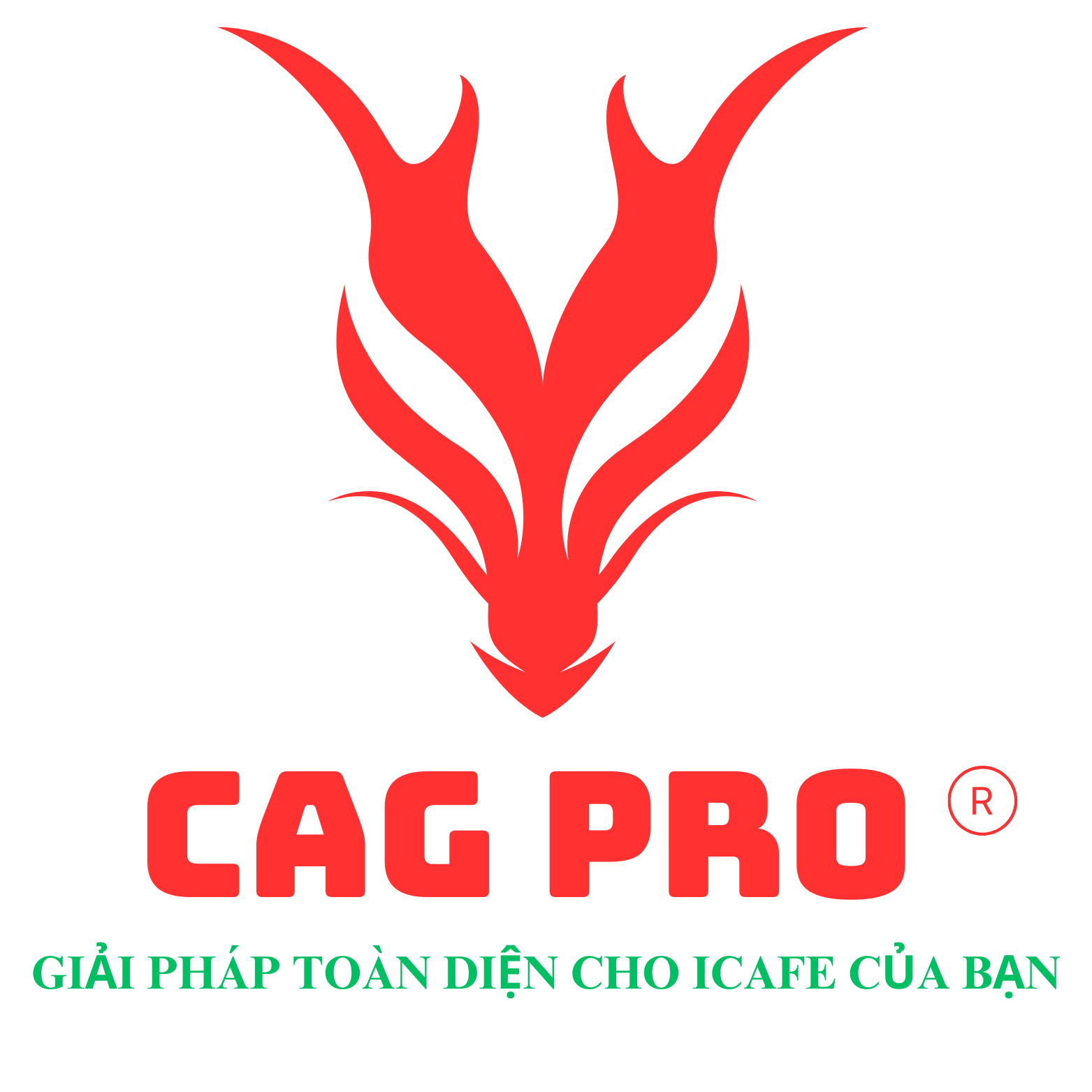 CAG PRO®